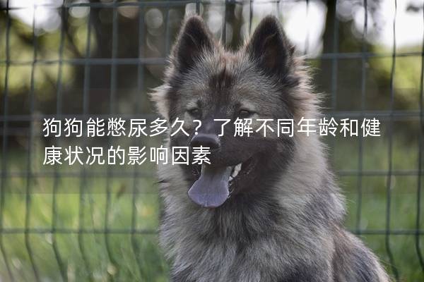 狗狗能憋尿多久？了解不同年齡和健康狀況的影響因素