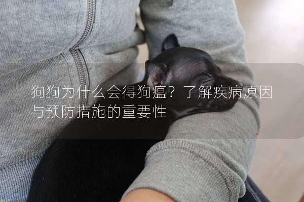 狗狗為什么會得狗瘟？了解疾病原因與預防措施的重要性