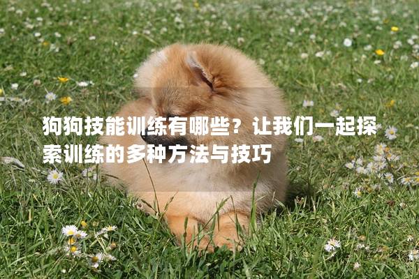 狗狗技能訓(xùn)練有哪些?讓我們一起探索訓(xùn)練的多種方法與技巧 狗狗技能訓(xùn)練有哪些?讓我們一起探索訓(xùn)練的多種方法與技巧