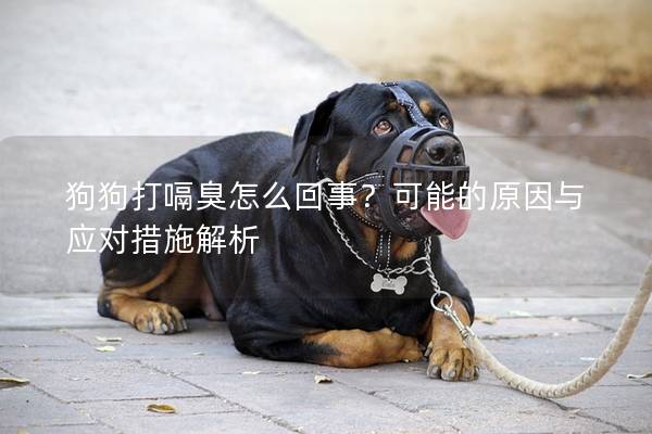 狗狗打嗝臭怎么回事？可能的原因與應對措施解析