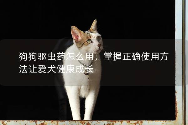 狗狗驅蟲藥怎么用，掌握正確使用方法讓愛犬健康成長