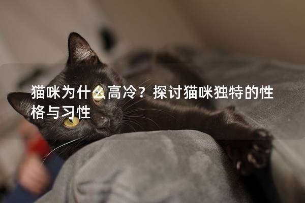 貓咪為什么高冷？探討貓咪獨(dú)特的性格與習(xí)性