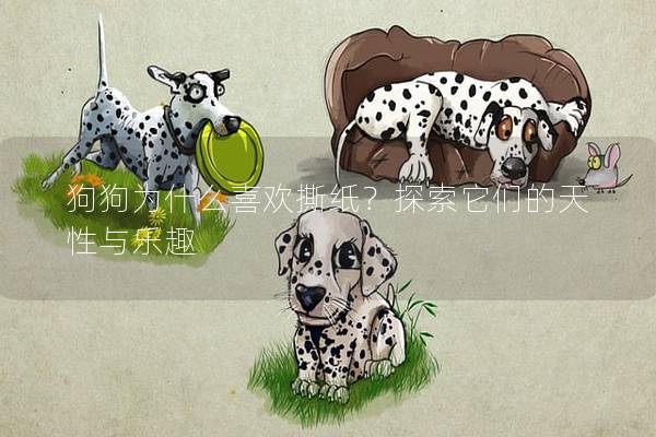 狗狗為什么喜歡撕紙?探索它們的天性與樂趣 狗狗為什么喜歡撕紙?探索它們的天性與樂趣