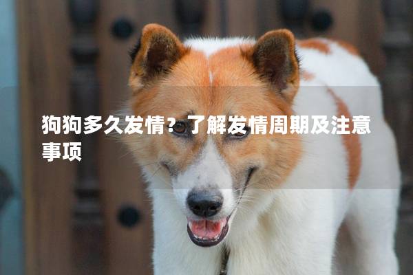 狗狗多久發(fā)情?了解發(fā)情周期及注意事項 狗狗多久發(fā)情?了解發(fā)情周期及注意事項