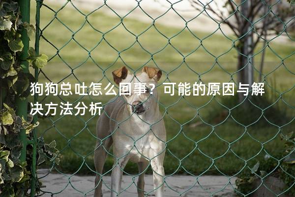 狗狗總吐怎么回事？可能的原因與解決方法分析