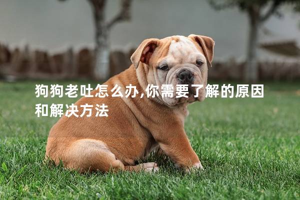 狗狗老吐怎么辦,你需要了解的原因和解決方法