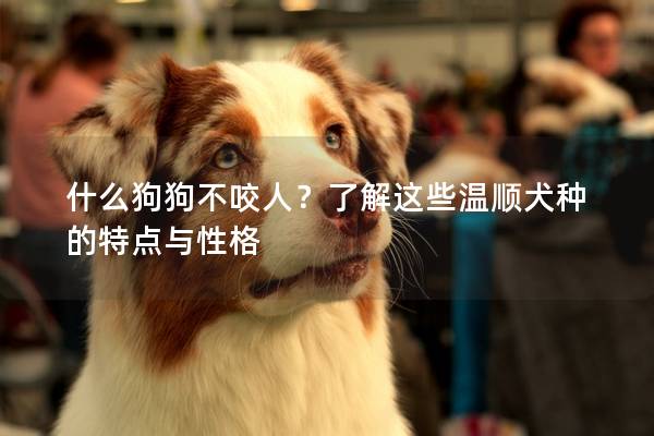 什么狗狗不咬人？了解這些溫順犬種的特點與性格