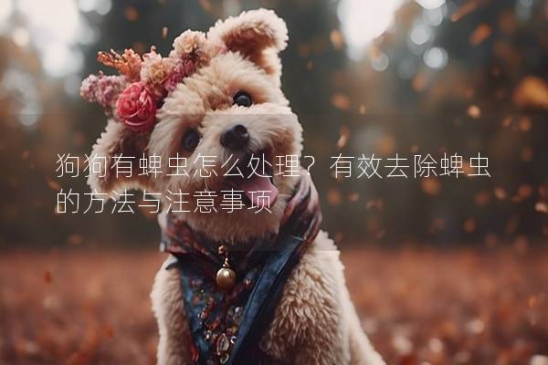狗狗有蜱蟲怎么處理？有效去除蜱蟲的方法與注意事項