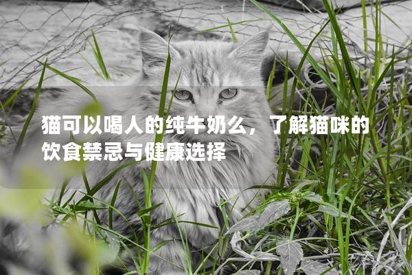 貓可以喝人的純牛奶么,了解貓咪的飲食禁忌與健康選擇 貓可以喝人的純牛奶么,了解貓咪的飲食禁忌與健康選擇