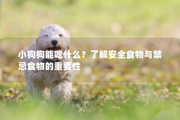 小狗狗能吃什么?了解安全食物與禁忌食物的重要性 小狗狗能吃什么?了解安全食物與禁忌食物的重要性