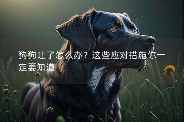狗狗吐了怎么辦?這些應(yīng)對措施你一定要知道 狗狗吐了怎么辦?這些應(yīng)對措施你一定要知道