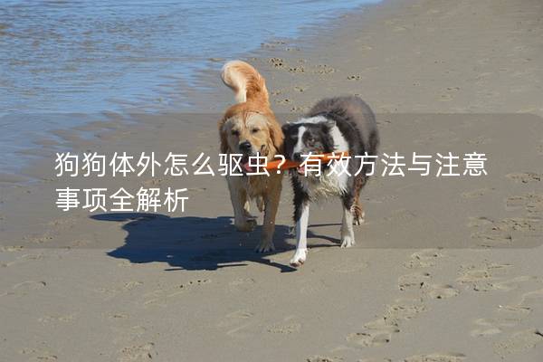 狗狗體外怎么驅蟲？有效方法與注意事項全解析