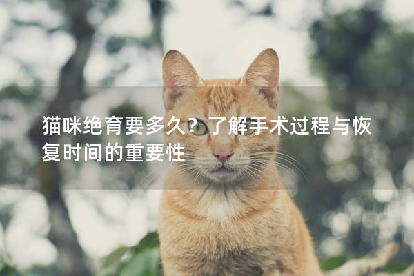 貓咪絕育要多久？了解手術過程與恢復時間的重要性