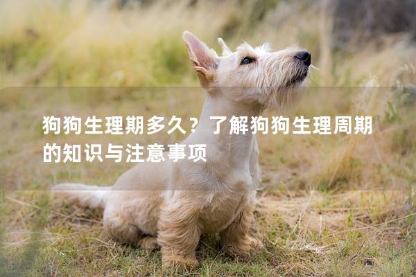 狗狗生理期多久？了解狗狗生理周期的知識與注意事項