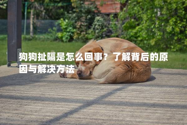 狗狗扯隔是怎么回事？了解背后的原因與解決方法