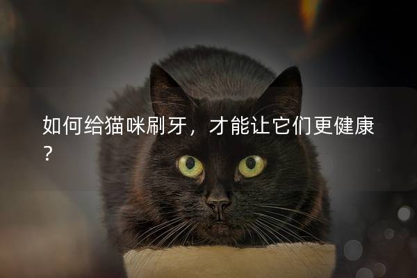 如何給貓咪刷牙，才能讓它們更健康？