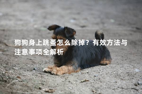 狗狗身上跳蚤怎么除掉？有效方法與注意事項全解析
