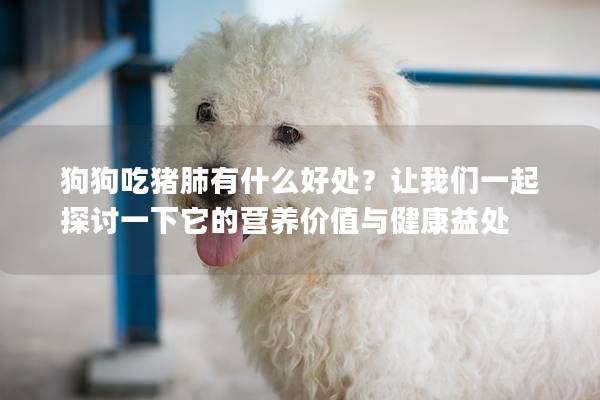 狗狗吃豬肺有什么好處？讓我們一起探討一下它的營養價值與健康益處