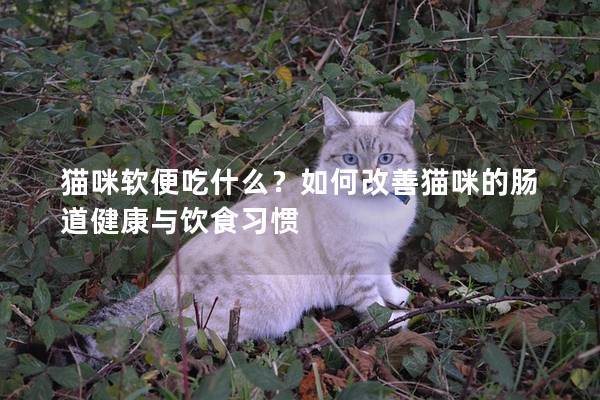 貓咪軟便吃什么？如何改善貓咪的腸道健康與飲食習慣