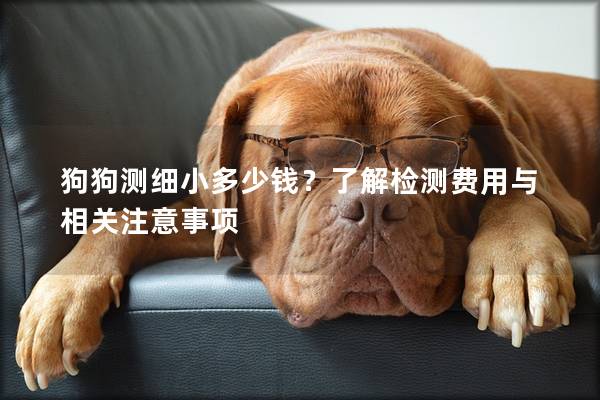 狗狗測細小多少錢？了解檢測費用與相關注意事項