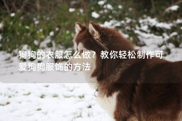 狗狗的衣服怎么做?教你輕松制作可愛狗狗服飾的方法 狗狗的衣服怎么做?教你輕松制作可愛狗狗服飾的方法