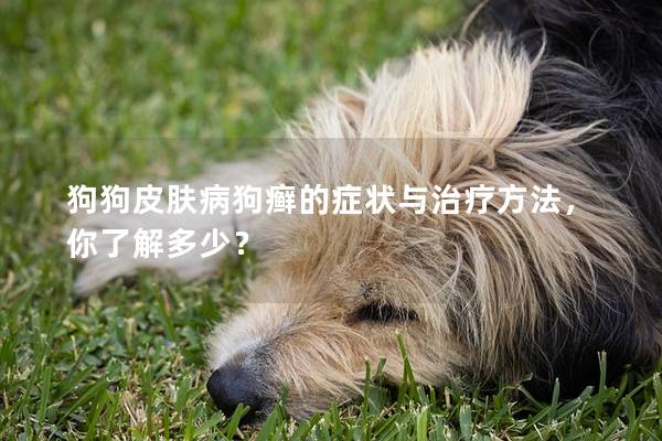 狗狗皮膚病狗癬的癥狀與治療方法，你了解多少？