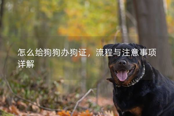 怎么給狗狗辦狗證，流程與注意事項詳解