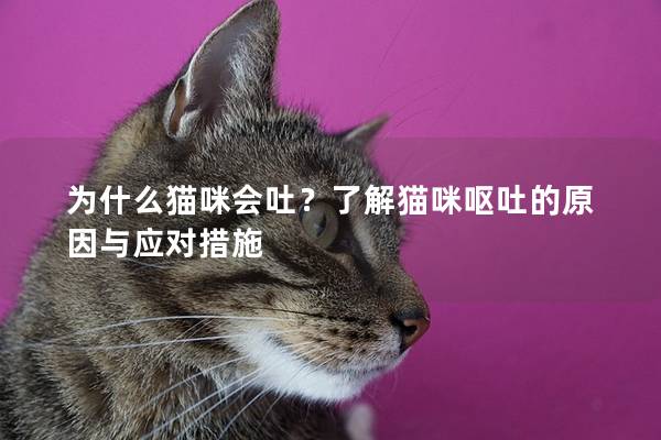 為什么貓咪會吐？了解貓咪嘔吐的原因與應(yīng)對措施