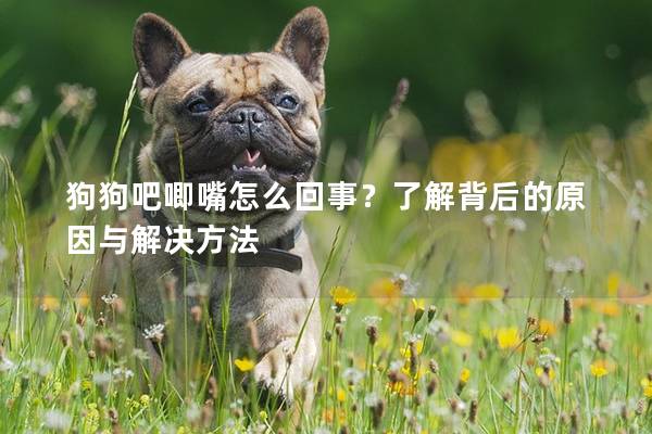 狗狗吧唧嘴怎么回事？了解背后的原因與解決方法