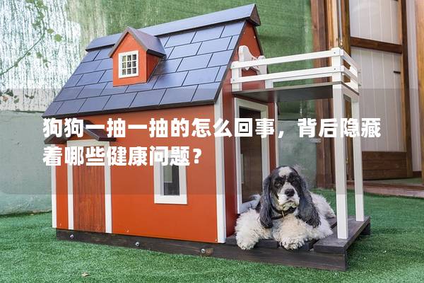 狗狗一抽一抽的怎么回事，背后隱藏著哪些健康問題？