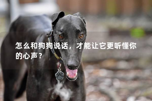 怎么和狗狗說話，才能讓它更聽懂你的心聲？
