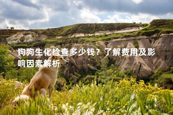狗狗生化檢查多少錢？了解費用及影響因素解析
