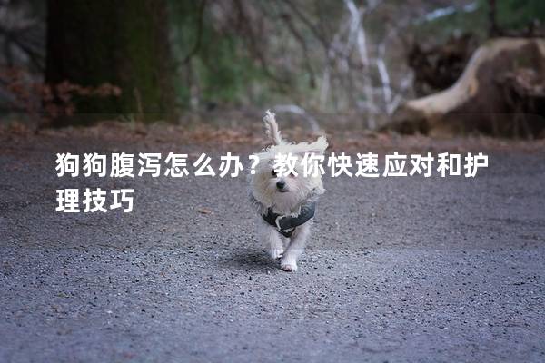 狗狗腹瀉怎么辦？教你快速應(yīng)對(duì)和護(hù)理技巧