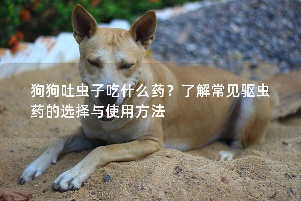 狗狗吐蟲子吃什么藥？了解常見驅蟲藥的選擇與使用方法