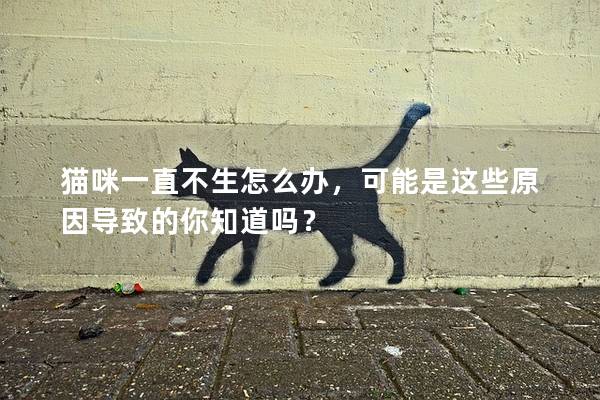 貓咪一直不生怎么辦，可能是這些原因?qū)е碌哪阒绬幔?></em><p>貓咪一直不生怎么辦，可能是這些原因?qū)е碌哪阒绬幔?/p><span>2024-12-06</span></a></li><li><a title=