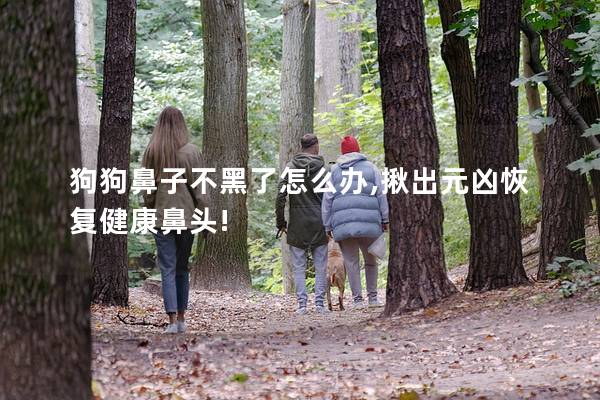 狗狗鼻子不黑了怎么辦,揪出元兇恢復健康鼻頭!