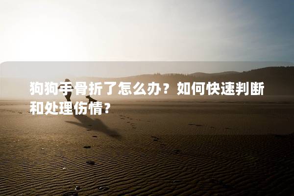 狗狗手骨折了怎么辦？如何快速判斷和處理傷情？