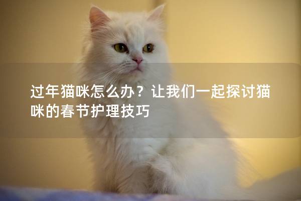 過年貓咪怎么辦？讓我們一起探討貓咪的春節護理技巧