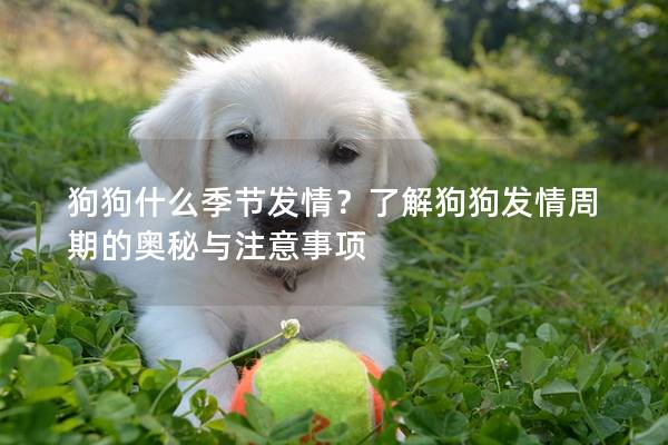 狗狗什么季節(jié)發(fā)情？了解狗狗發(fā)情周期的奧秘與注意事項(xiàng)