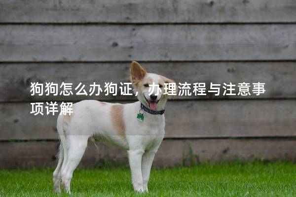 狗狗怎么辦狗證，辦理流程與注意事項詳解