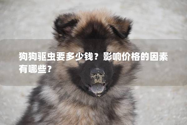 狗狗驅蟲要多少錢？影響價格的因素有哪些？