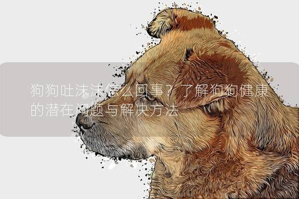 狗狗吐沫沫怎么回事？了解狗狗健康的潛在問題與解決方法