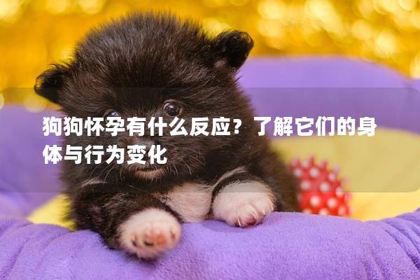 狗狗懷孕有什么反應？了解它們的身體與行為變化