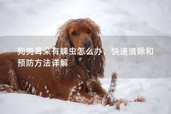 狗狗耳朵有蜱蟲怎么辦，快速清除和預防方法詳解