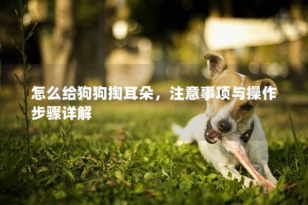 怎么給狗狗掏耳朵，注意事項與操作步驟詳解