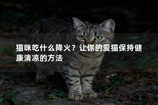 貓咪吃什么降火？讓你的愛貓保持健康清涼的方法