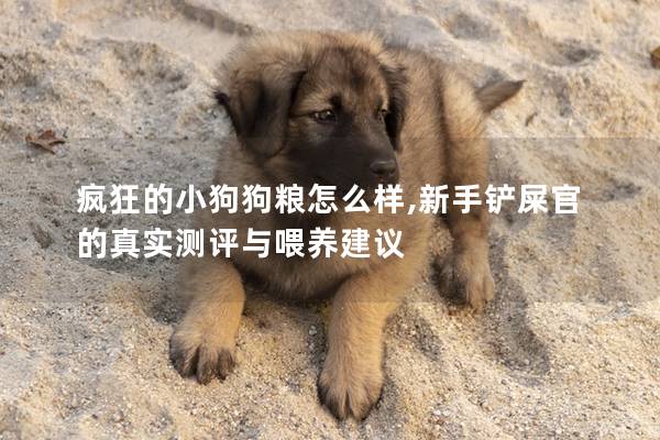 瘋狂的小狗狗糧怎么樣,新手鏟屎官的真實測評與喂養建議