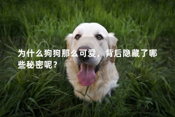 為什么狗狗那么可愛，背后隱藏了哪些秘密呢？