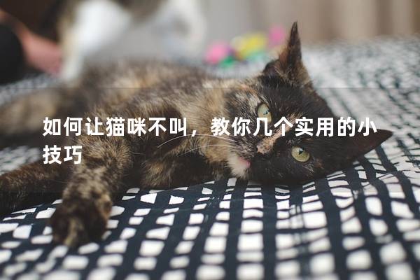 如何讓貓咪不叫，教你幾個實用的小技巧