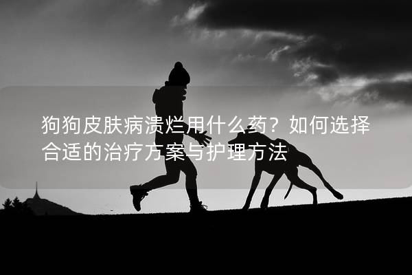狗狗皮膚病潰爛用什么藥？如何選擇合適的治療方案與護理方法